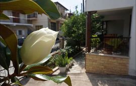 magnolia house agios nikolaos sithonia 2