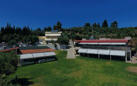 Paradisos Holiday Apartments, Paradissos Neos Marmaras, Sithonia