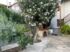 Maria House, Sykia, Sithonia