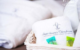 dimitrious studios and apartments golden beach thassos  (6)