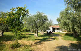 Marios House, Skala Rachoni, Thassos