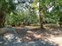 Lelegianni Studios and Apartments, Psakoudia, Sithonia