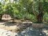 Lelegianni Studios and Apartments, Psakoudia, Sithonia