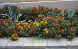 Intra Mare Luxury Apartments, Skala Potamia, Thassos