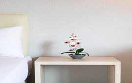 Theramvos Apartments, Pefkohori, Kassandra, No. 1