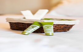 Theramvos Apartments, Pefkohori, Kassandra, No. 1