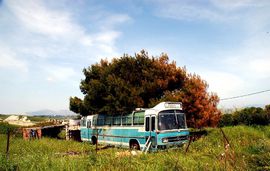 local transport kefalonia