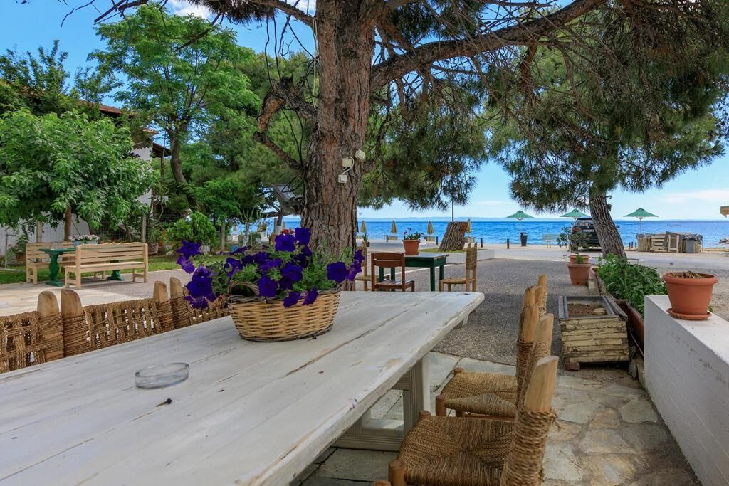 Agapitos Apartments, Nikiti, Sithonia