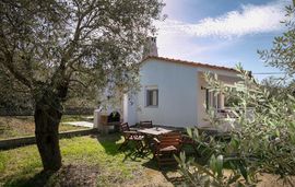 olivemare apartments pachis thassos (3)