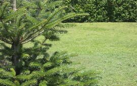 Sole Del Paradiso Apartments, Paradissos Neos Marmaras, Sithonia