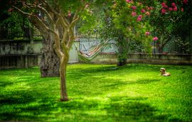 Blooming Memories Apartments, Vourvourou, Sithonia