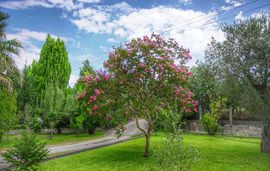 Blooming Memories Apartments, Vourvourou, Sithonia