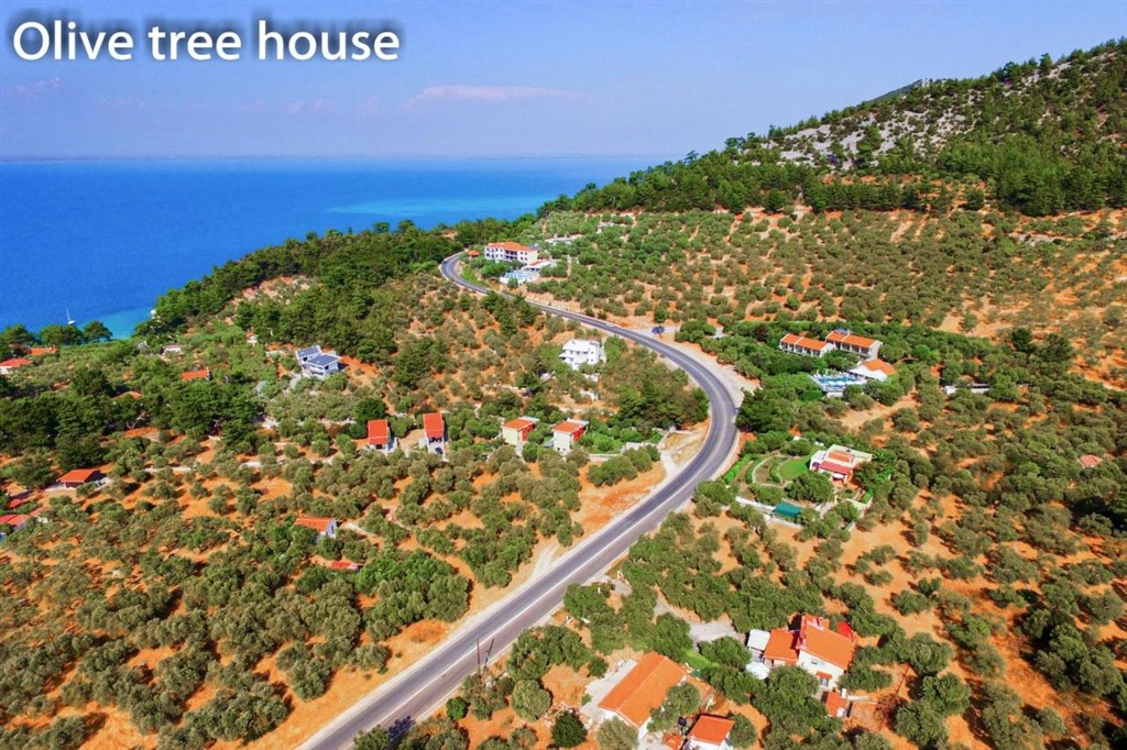 Olive Tree House, Pachis, Thassos