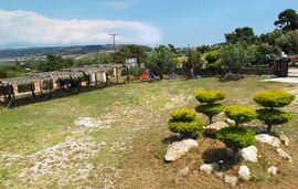 Nasa's Studios, Nikiti, Sithonia