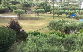 Front Sea View Apartment, Gerakini, Sithonia