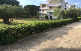 Front Sea View Apartment, Gerakini, Sithonia