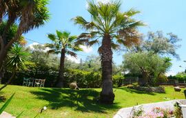 Grigoris Garden Apartments, Parga, Epirus