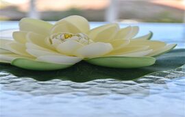 Ilion Luxury Studios and Apartments 2, Asprovalta, Thessaloniki, 4 Bed Studio, Aelion, First Floor