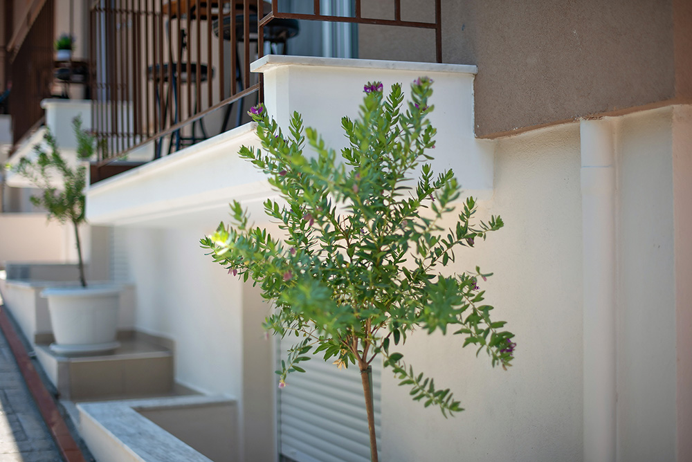 Valery Apartments, Pefkohori, Kassandra