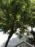 Cozy Apartment, Thessaloniki, Thessaloniki