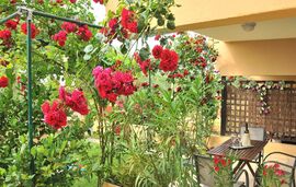 Milonas Villa, Skala Rachoni, Thassos, 4 Bed Apartment, Artemis