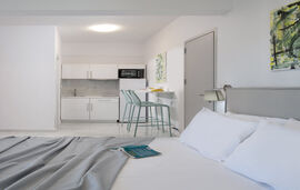 Grand Garden House, Sykia, Sithonia - 2 Bed Studio