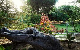 Jenny's Garden House, Vourvourou, Sithonia