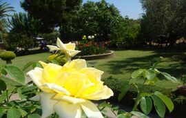 Jenny's Garden House, Vourvourou, Sithonia