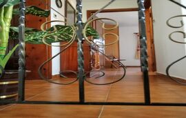 Jenny's Garden House, Vourvourou, Sithonia - 2 Bedroom Apartment