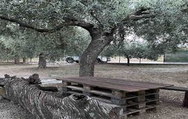 Aliki Garden House, Limenaria, Thassos