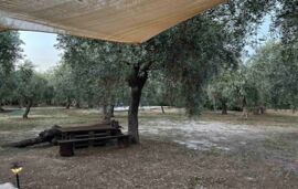 Aliki Garden House, Limenaria, Thassos