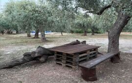 Aliki Garden House, Limenaria, Thassos