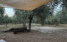 Aliki Garden House, Limenaria, Thassos