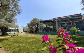Elaeda Villas, Skala Prinos, Thassos