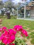 Elaeda Villas, Skala Prinos, Thassos