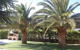 Dimitris Apartments & Bungalows, Paralia Vrasna, Thessaloniki