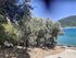 Smartrose Studios, Vasiliki, Lefkada