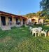 Anestis Bungalows, Tristinika, Sithonia