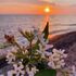 Le Petit Luxury Apartment, Preveza, Lefkada