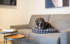 Arente Apartments, Lefkas, Lefkada