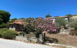 Petrino In Tristinika Studio, Tristinika