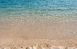 Petrino In Tristinika Studio, Tristinika