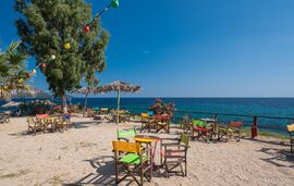 Petrino In Tristinika Studio, Tristinika