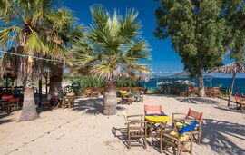 Petrino In Tristinika Studio, Tristinika