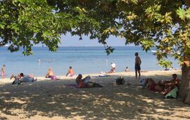 Amalia's House, Limenas, Thassos