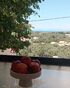 Pine House With Sea View, Lefkas, Lefkada