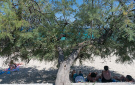 Okean Apartments, Ierissos, Athos