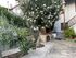 TheoFania House, Sykia, Sithonia