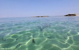 Blue Beach Apartment, Siviri, Kassandra