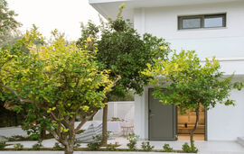 Mariya Art Living Apartments, Nea Skioni, Kassandra